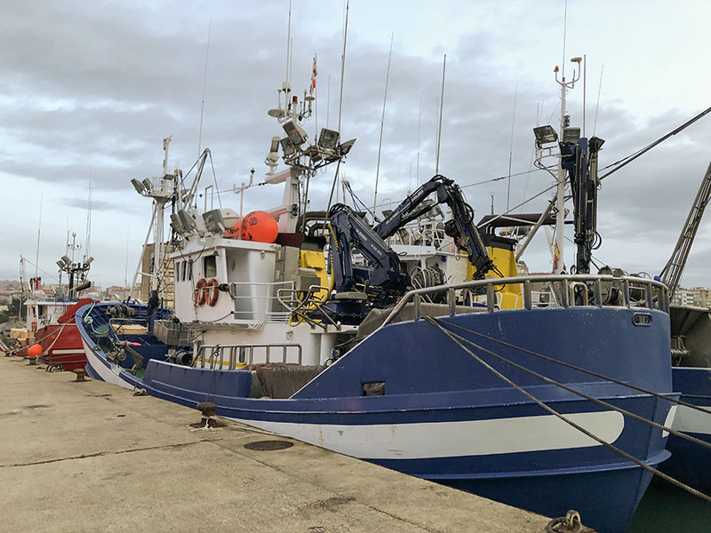 El Gobierno aprueba ayudas por 3 millones para la industria de productos pesqueros